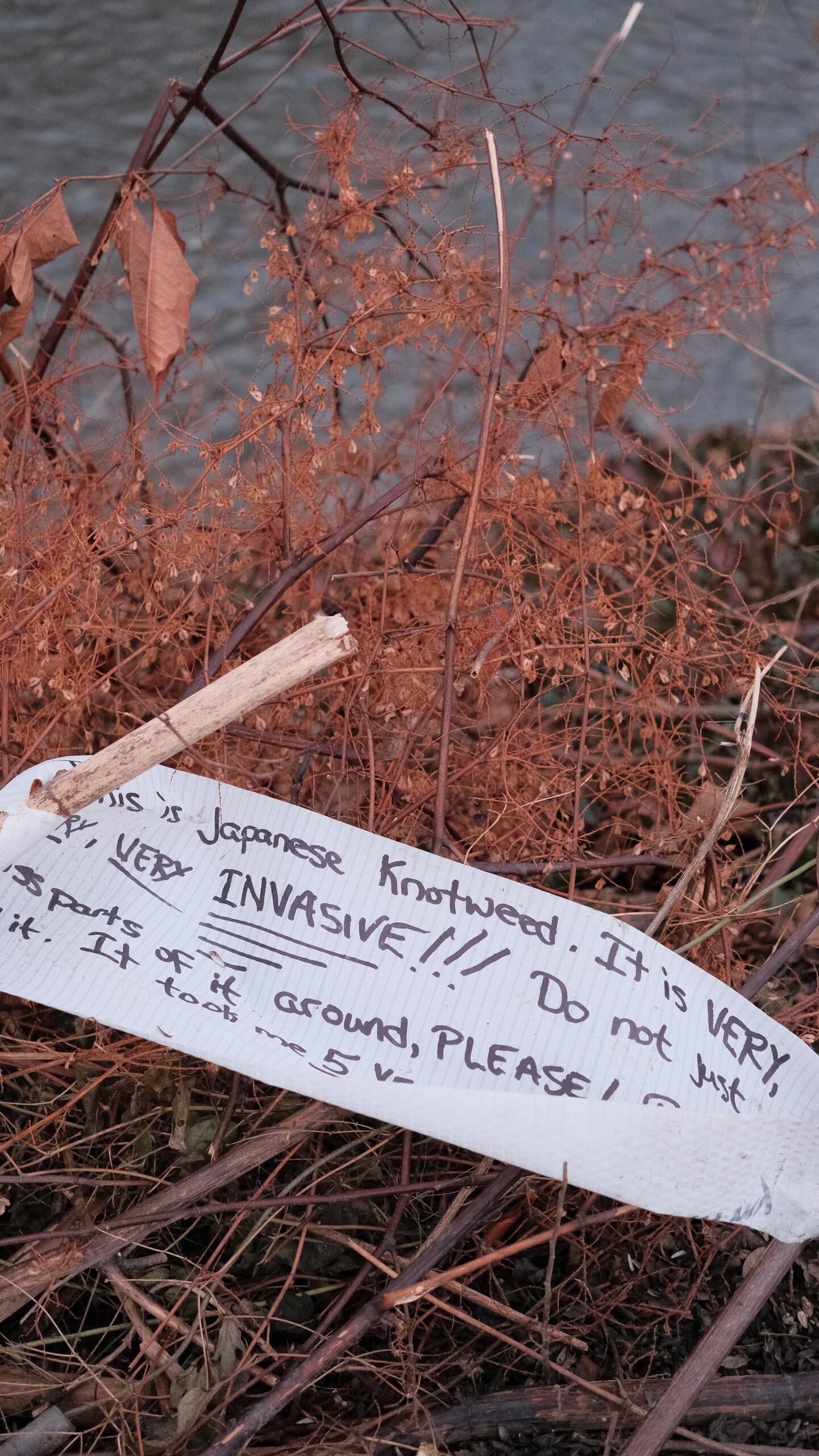 Travel photograph, 2024
