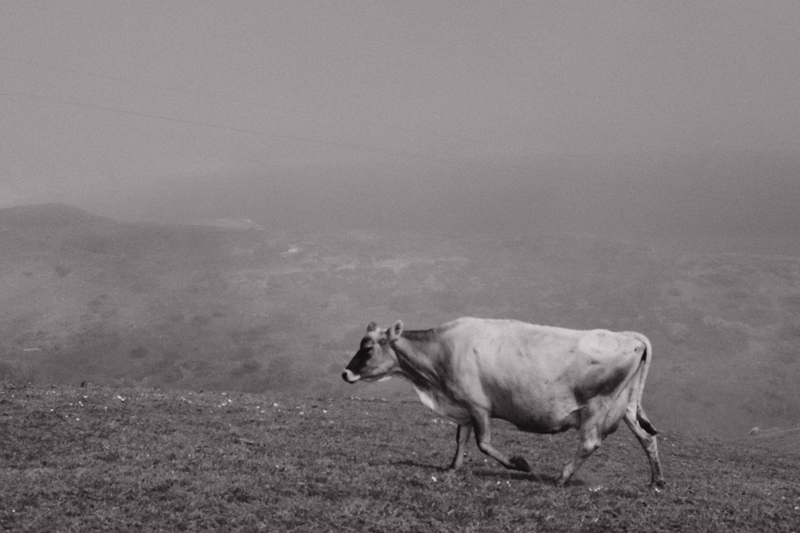 Travel photograph, March 2022