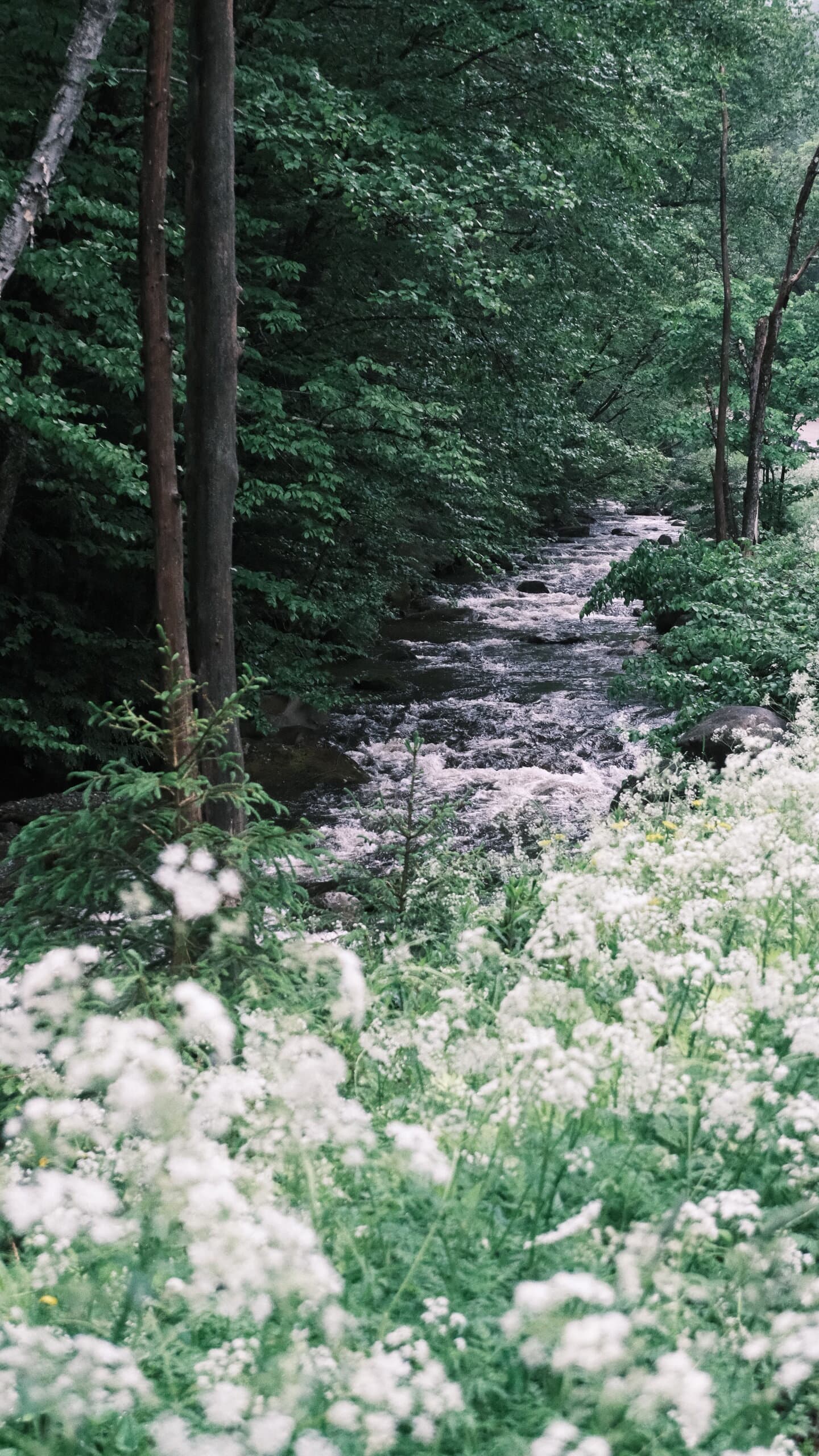 Vermont photograph